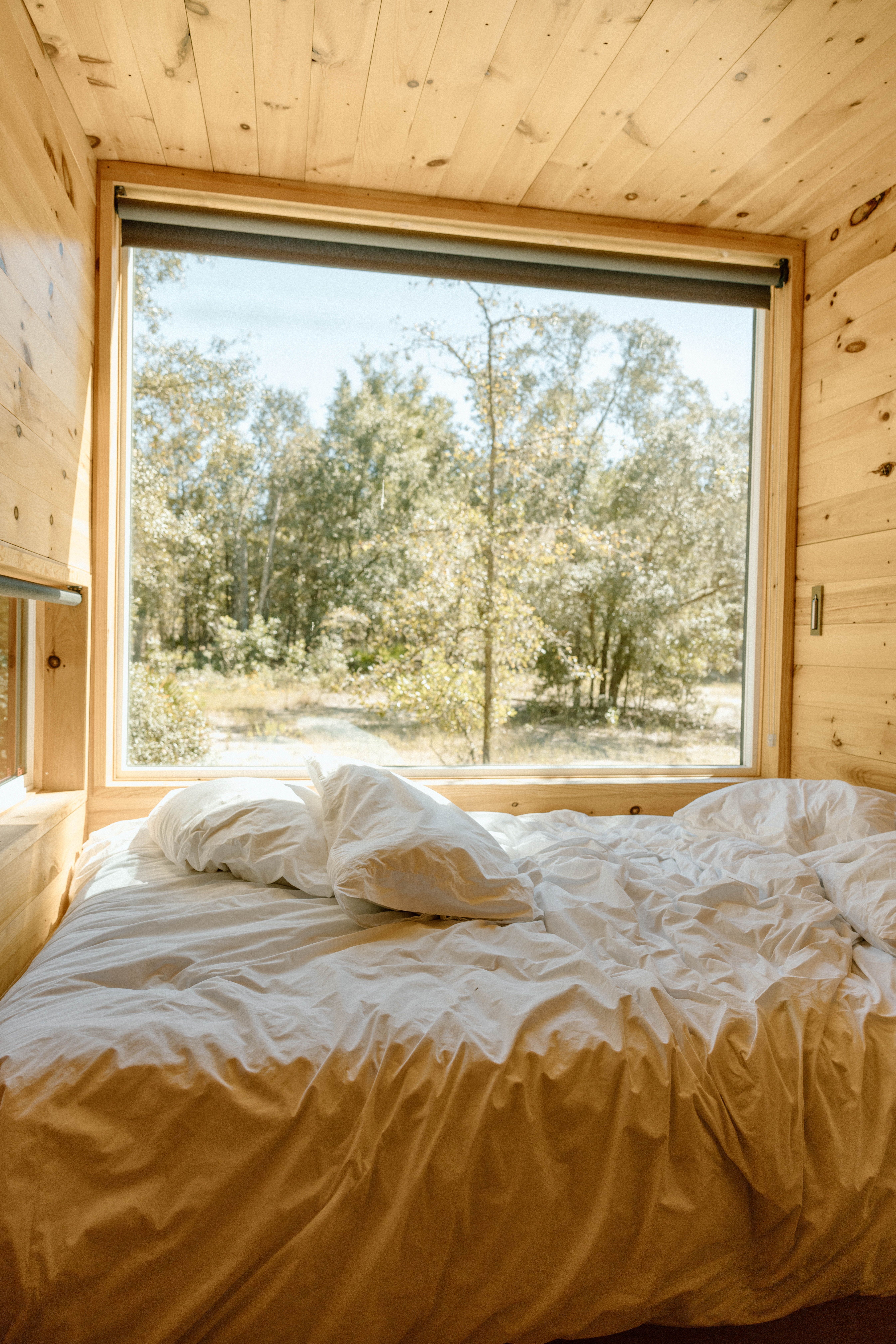 The Cozy Nest