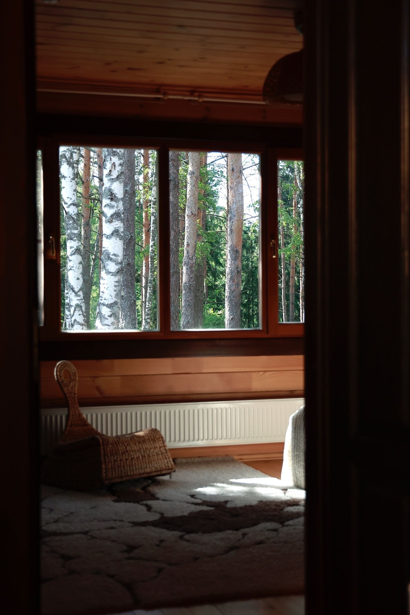 The Cozy Nest